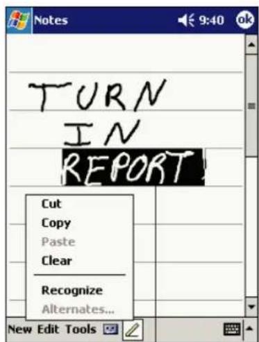 T U R N I N R E P O R T Cut Copy Paste Clear Recognize Alternates... New Edit Tools