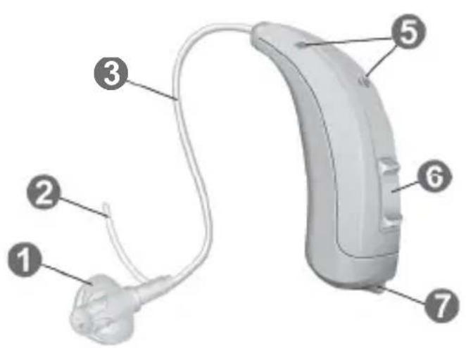 Signia Motion P Primax - Motion P - 1