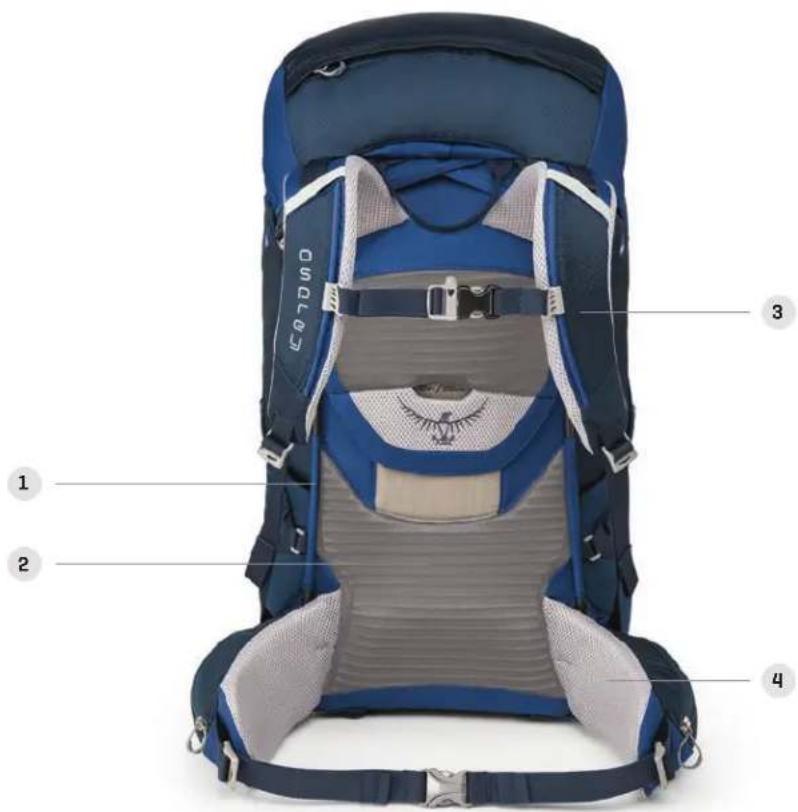 Osprey Ace 38 - KIDS' SIZING AND FIT - 1
