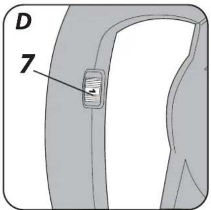 D 7