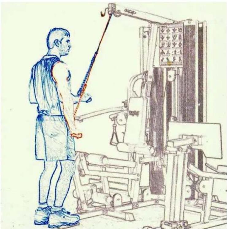 Schmidt Galena - ARME - 2