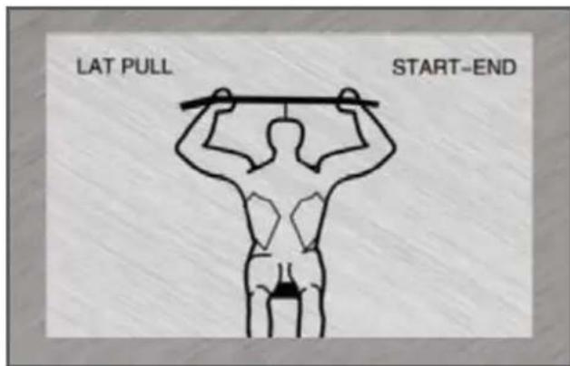 BodyCraft BC-735 - Latzug zum Nacken, Start- und Endposition: - 1