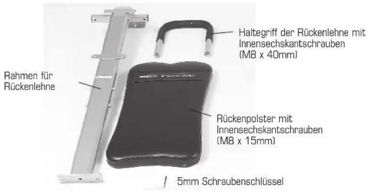 Finnlo Bioforce Extreme 3841 - TRIZEPS KICKBACK EINARMIG - 5