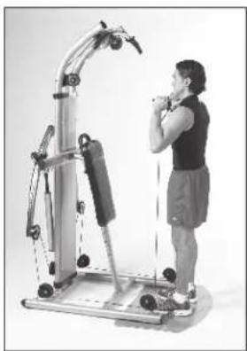 Finnlo Bioforce Extreme 3841 - BAUCH & UNTERER RUCKEN - 1