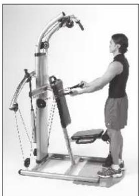 Finnlo Bioforce Extreme 3841 - Brust & Rücken - 3