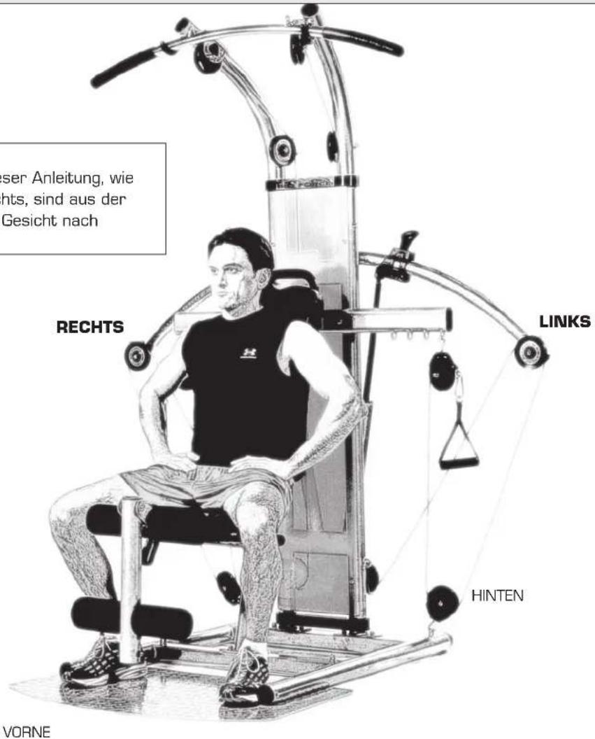 Finnlo Bioforce Extreme 3841 - RÜCKENSTRECKER SITZEND - 2