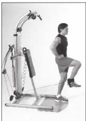 Finnlo Bioforce Extreme 3841 - BEINDRÜCKEN - 2