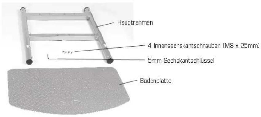Finnlo Bioforce Extreme 3841 - TRIZEPS-STRECKER GEKREUZT - 2