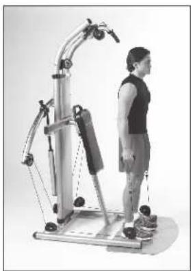 Finnlo Bioforce Extreme 3841 - Schultern - 1