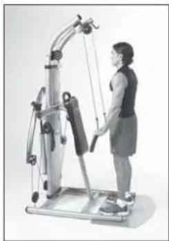 Finnlo Bioforce 3810 - TRIZEPSDRÜCKEN ÜBERKOPF - 3