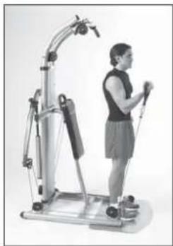 Finnlo Bioforce 3810 - BIZEPS-CURLS STEHEND - 3