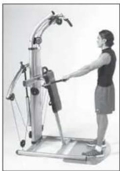 Finnlo Bioforce 3810 - Schultern - 1