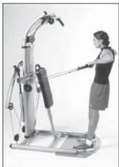 Finnlo Bioforce 3810 - SEITHEBEN STEHEND ARMIG - 3