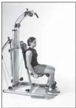 Finnlo Bioforce 3810 - BEINSTRECKER - 2