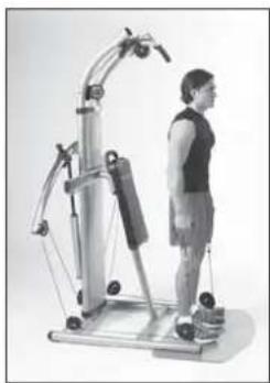 Finnlo Bioforce 3810 - Schultern - 1