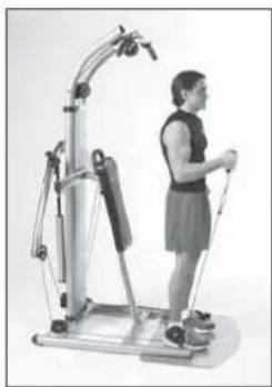 Finnlo Bioforce 3810 - HAMMER-CURLS - 2
