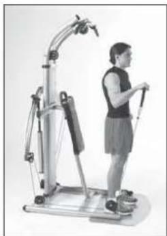 Finnlo Bioforce 3810 - HAMMER-CURLS - 7