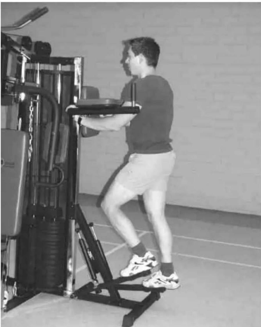 Schmidt Chrom - HERZ-KREISLAUFTRAINING - 1