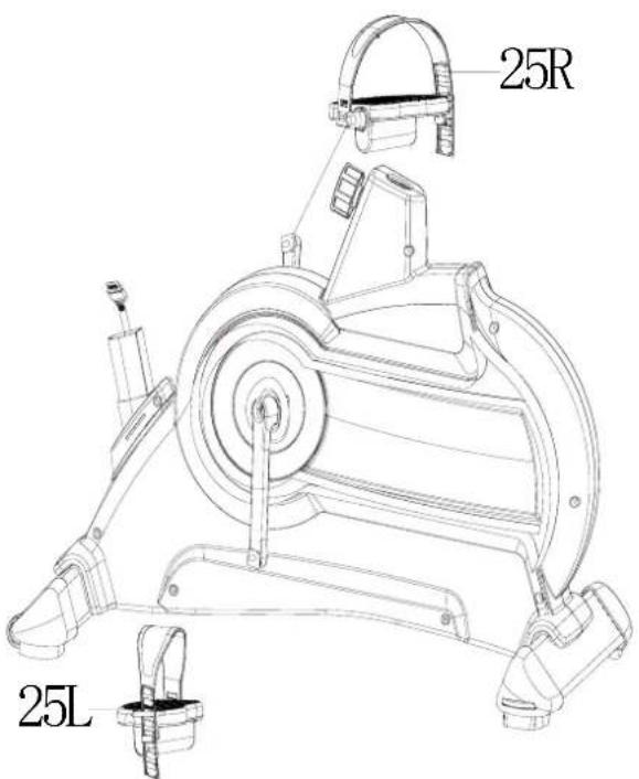25R 25L