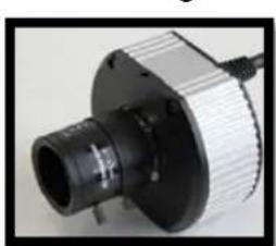 Arecont Vision AV2110DN - Camera Focus: - 1