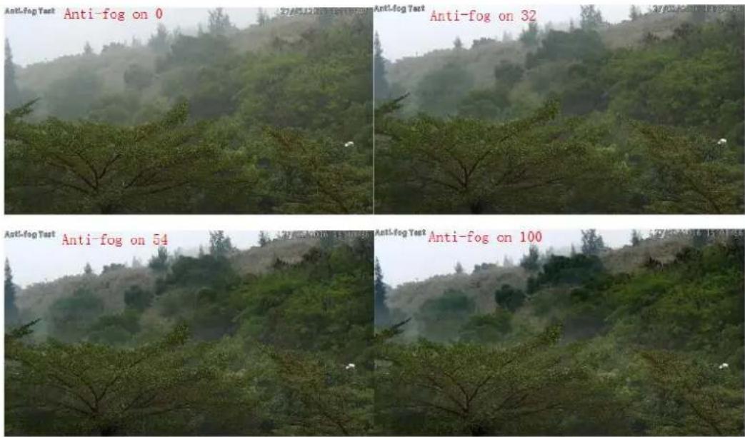 Milesight MS-C3367-PNA - Note: - 3