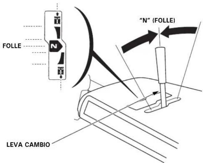 FOLLE "N" (FOLLE) LEVA CAMBIO