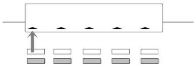 BOSCH TS 13 - Frei programmierbare Funktionstasten (Standardbelegung) - 1