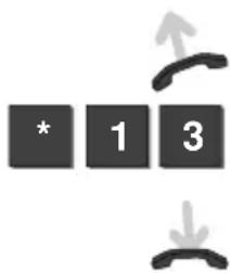 * 1 3