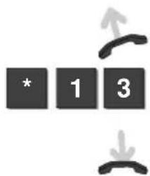 * 1 3