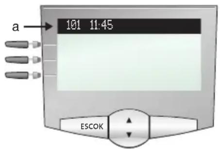 a 101 11:45 ESCOK