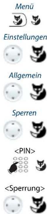 Menü Einstellungen Allgemein Sperren