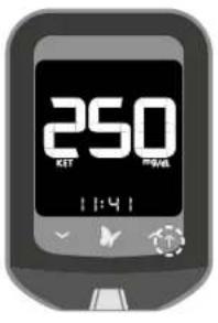 Abbott Freestyle Precision Neo - Erklärung der Blutzucker-Testergebnisse und -Muster - 5