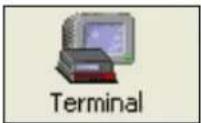 Microscan MS-890 - Terminal Window - 1
