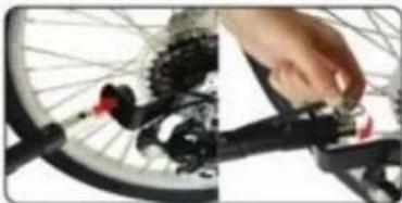 InnoPet Sporty Trailer IPS-055 - 8