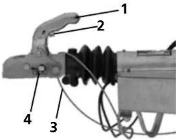 Humbaur Xanthos Kutsche - Ankuppeln mit der Kugelkopfkupplung - 3