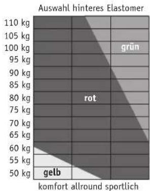 Riese & Müller Birdy (2008) - Hinteres Elastomer austauschen - 1