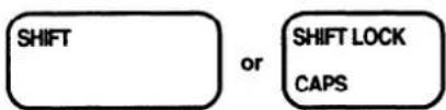 BROTHER ML-300 - Typing uppercase characters - 1