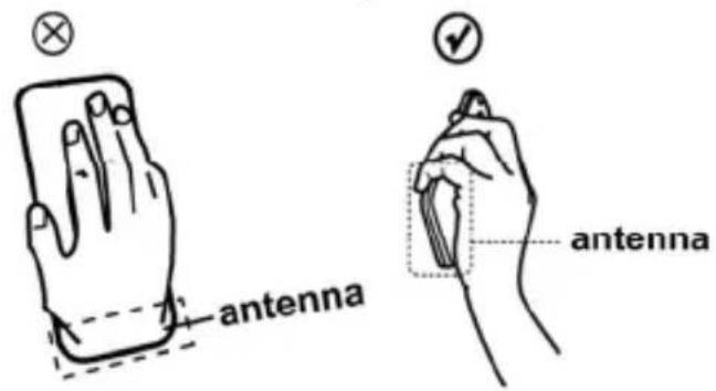 ZTE VF547 - Antenne - 1