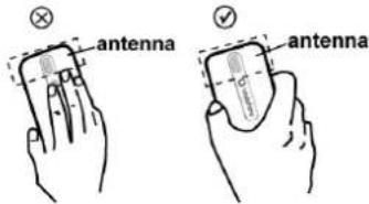 ZTE VF246 - Antenne - 1