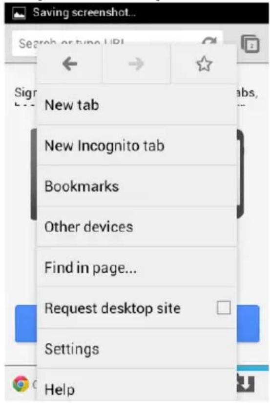 ZTE T-790 - BROWSER SETTINGS - 1