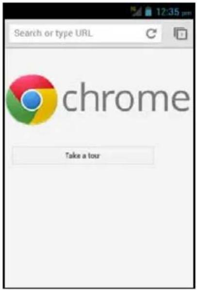 ZTE T-790 - USING CHROME - 1