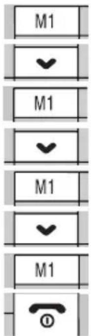 Auro Style - Standard-Telefonbuch festlegen - 1