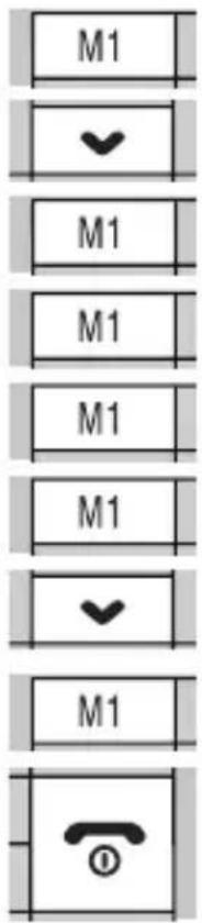 Auro Style - M1 Rufnummer festlegen - 1