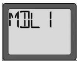 ROBBE FUTABA T6EXP - UNTERMENÜ MODELLNAME (MDL) - 1