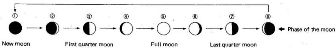 CITIZEN Cal 4380 - 3) What is the age of the moon - 2