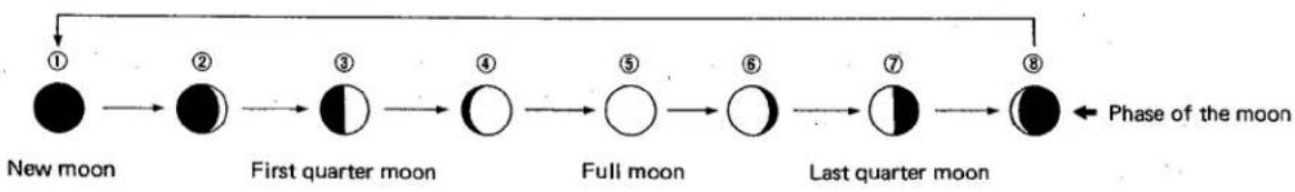CITIZEN Cal 4330 - 3) What is the age of the moon - 2