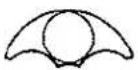 CITIZEN Cal 3531 - How to read the age of the moon (Example of indication) - 3