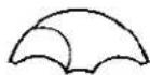 CITIZEN Cal 3531 - How to read the age of the moon (Example of indication) - 2