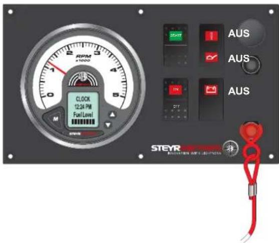 Steyr Motors SE236E40 - Motor läuft (nach dem Starten) - 1