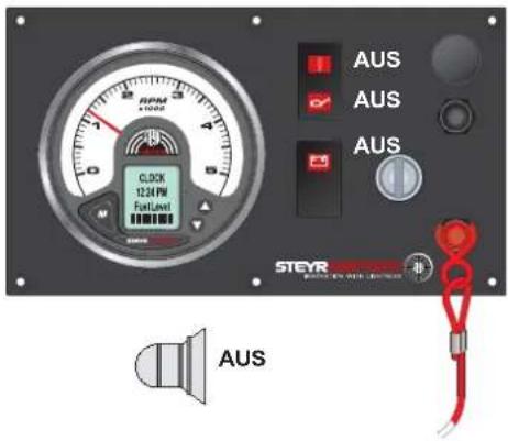 Steyr Motors SE266E40 - Motor läuft (nach dem Starten) - 1
